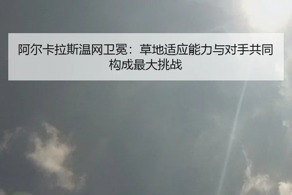 a-er-ka-la-si-wen-wang-wei-mian-cao-di-shi-ying-neng-li-yu-dui-shou-gong-tong-gou-cheng-zui-da-tiao-zhan-2-296.jpg